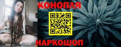 сатива Берёзовский